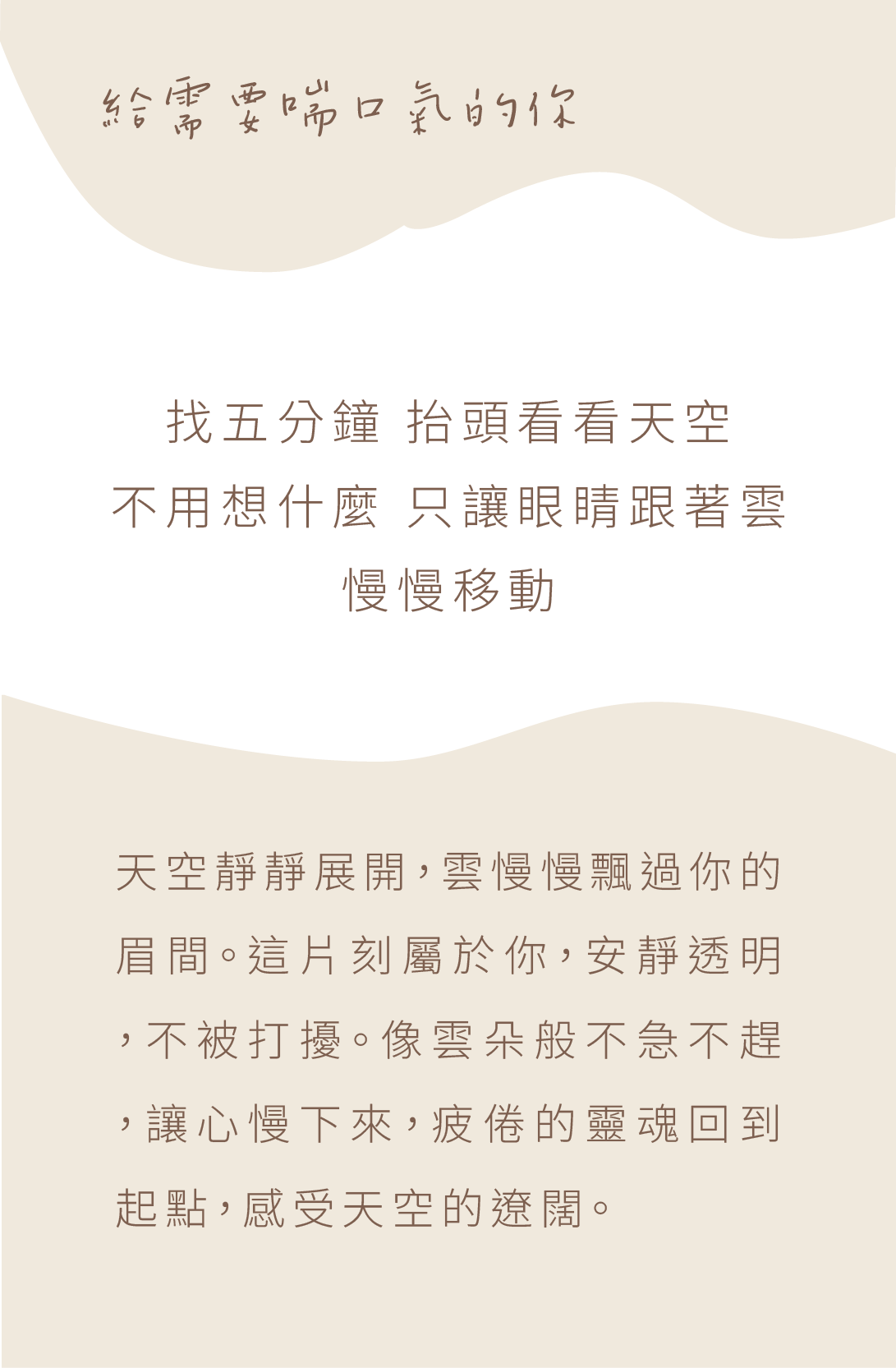 背面