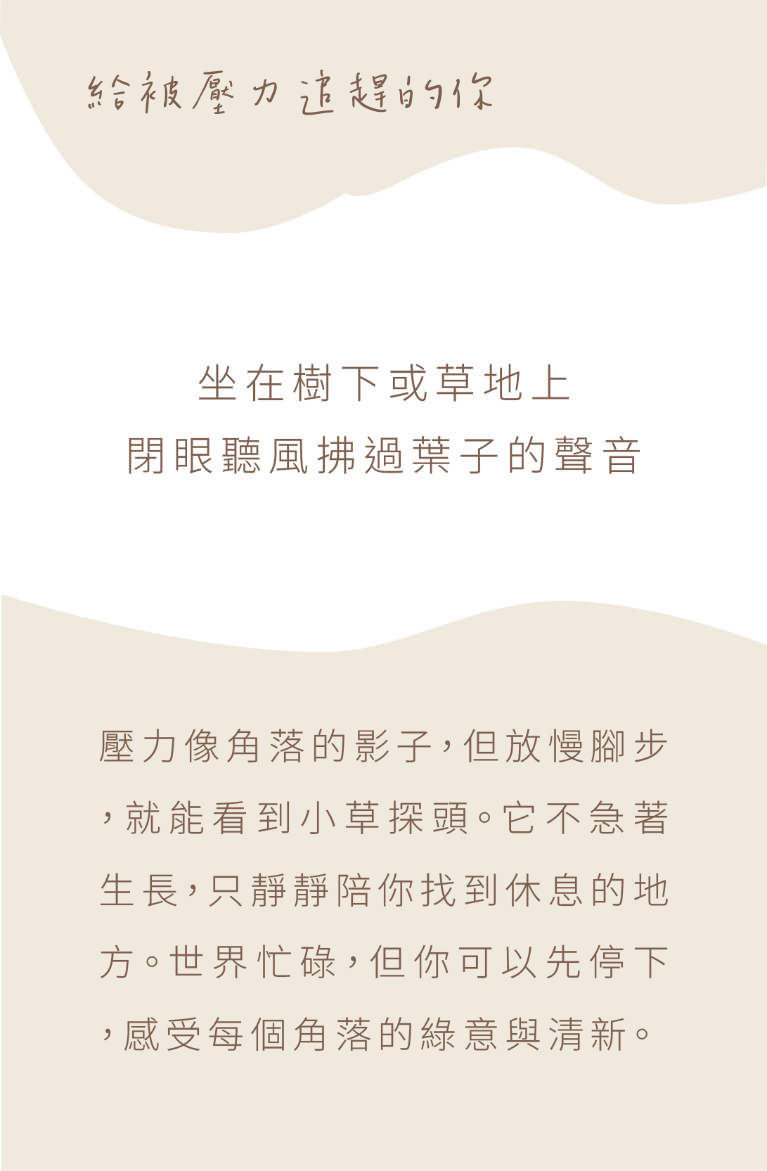 背面