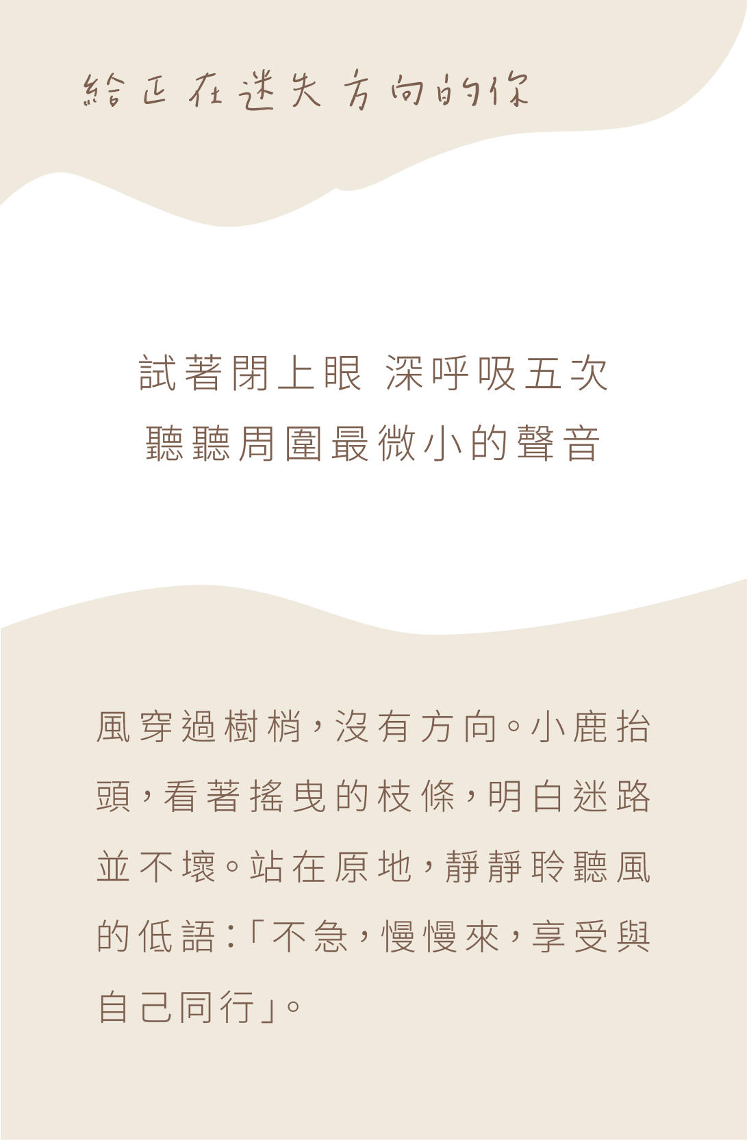 背面