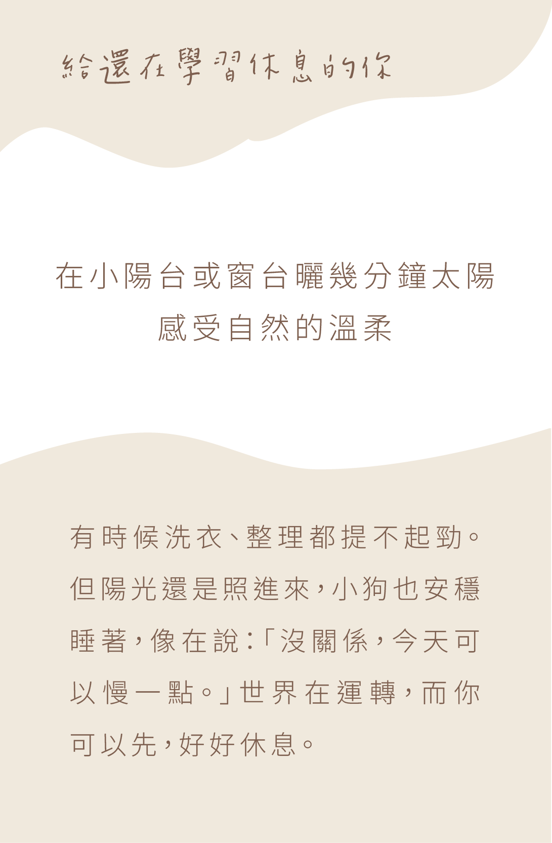 背面